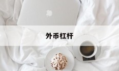 外币杠杆(外汇杠杆率)